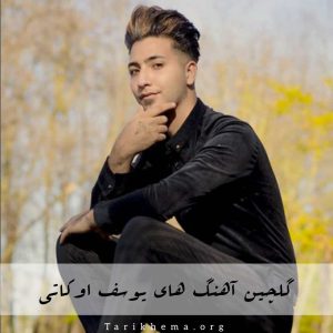 دانلود گلچین آهنگ های یوسف اوکاتی