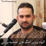 دانلود گلچین برترین آهنگ های جمشید پروانی 1404