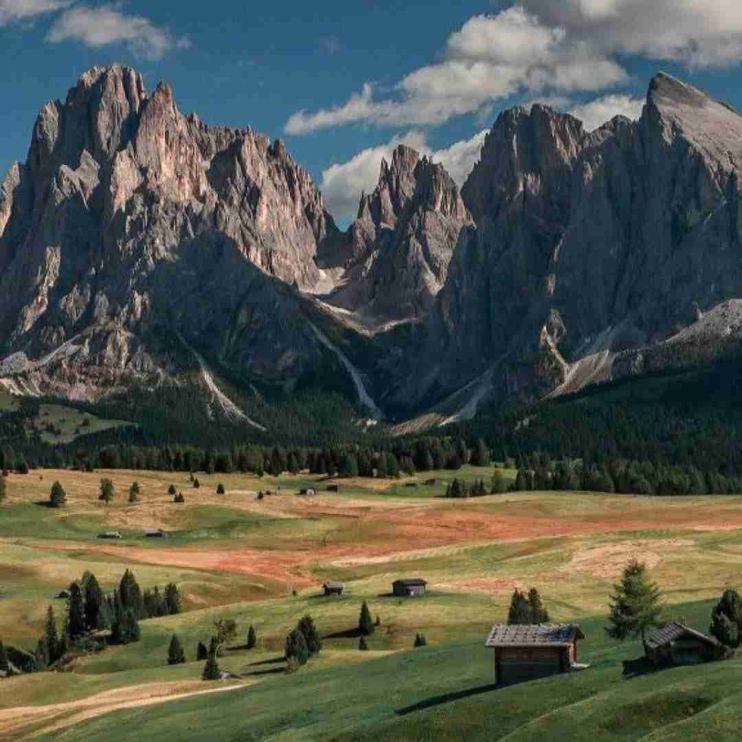  الان اکسم بهم میگه برگرد قبل بلاک دادم فش بد