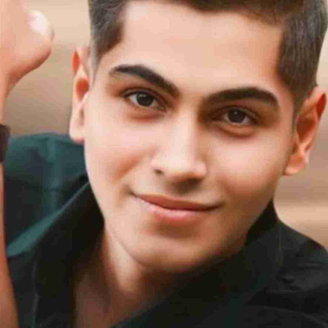 امیرمحمد افشاری یا مقلب القلوب قلبم گنجوری گیریاس