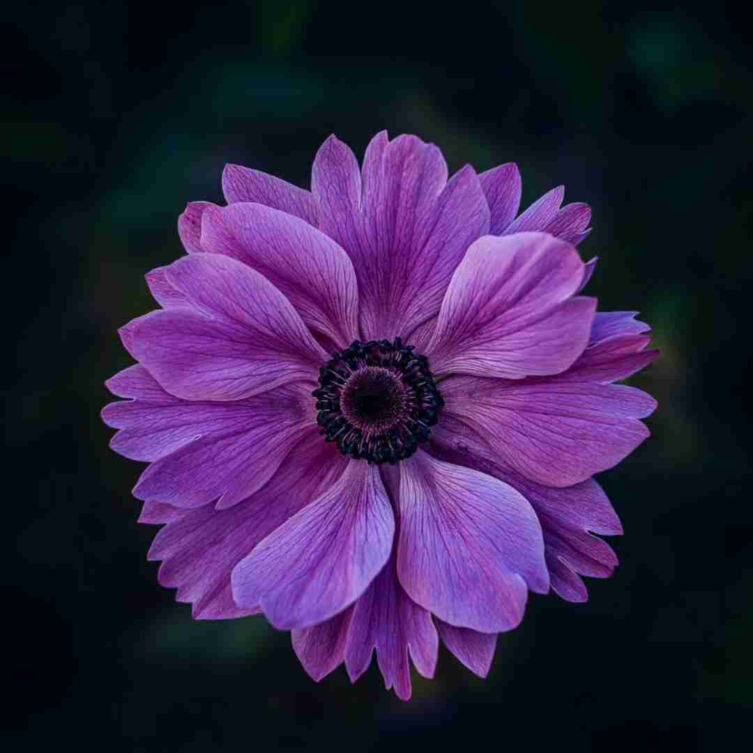 من همون مسافرم که به مقصد نرسید