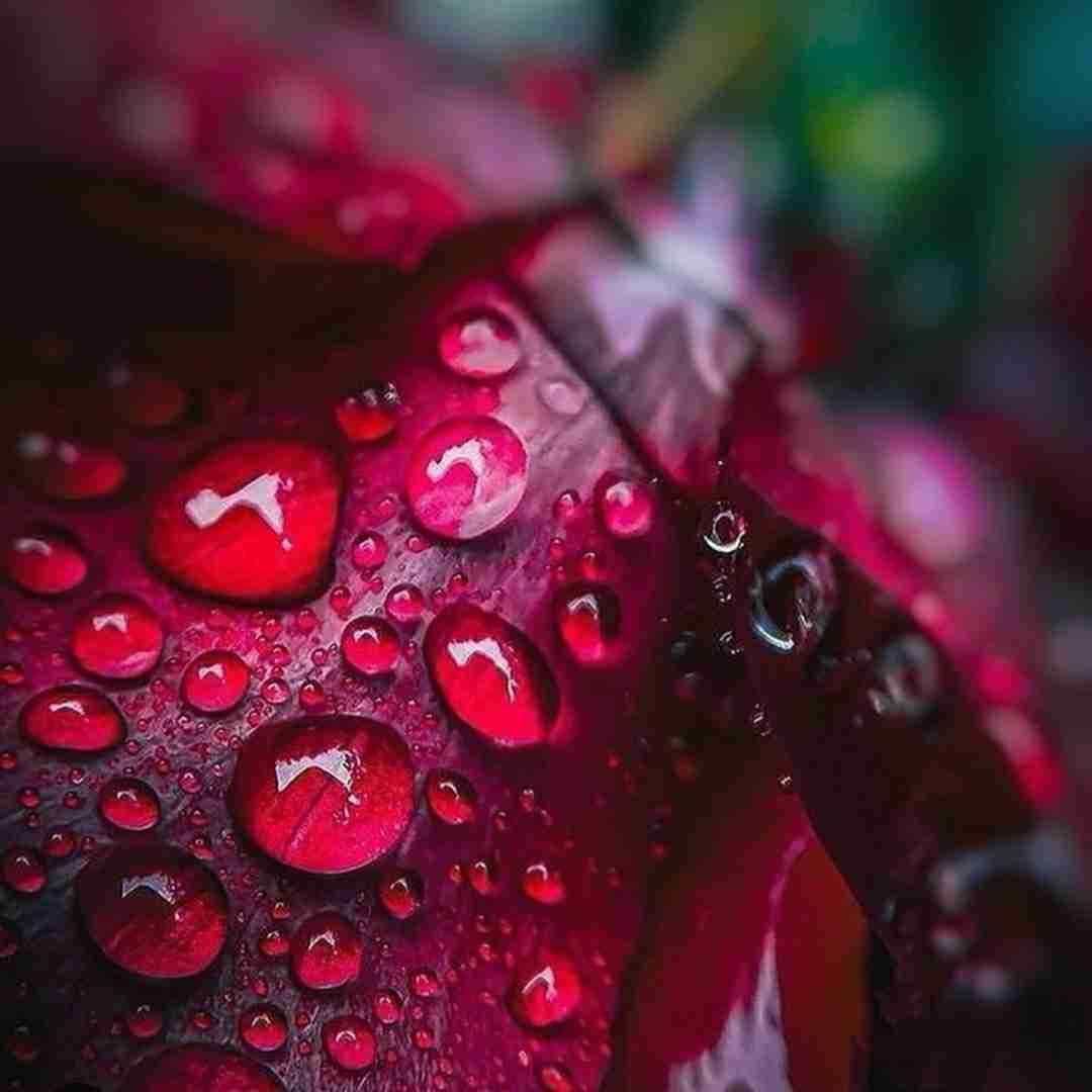  روسی امشب زیر نور ماه شخصی دیگه پیدا میشه (ترند اینستایی)