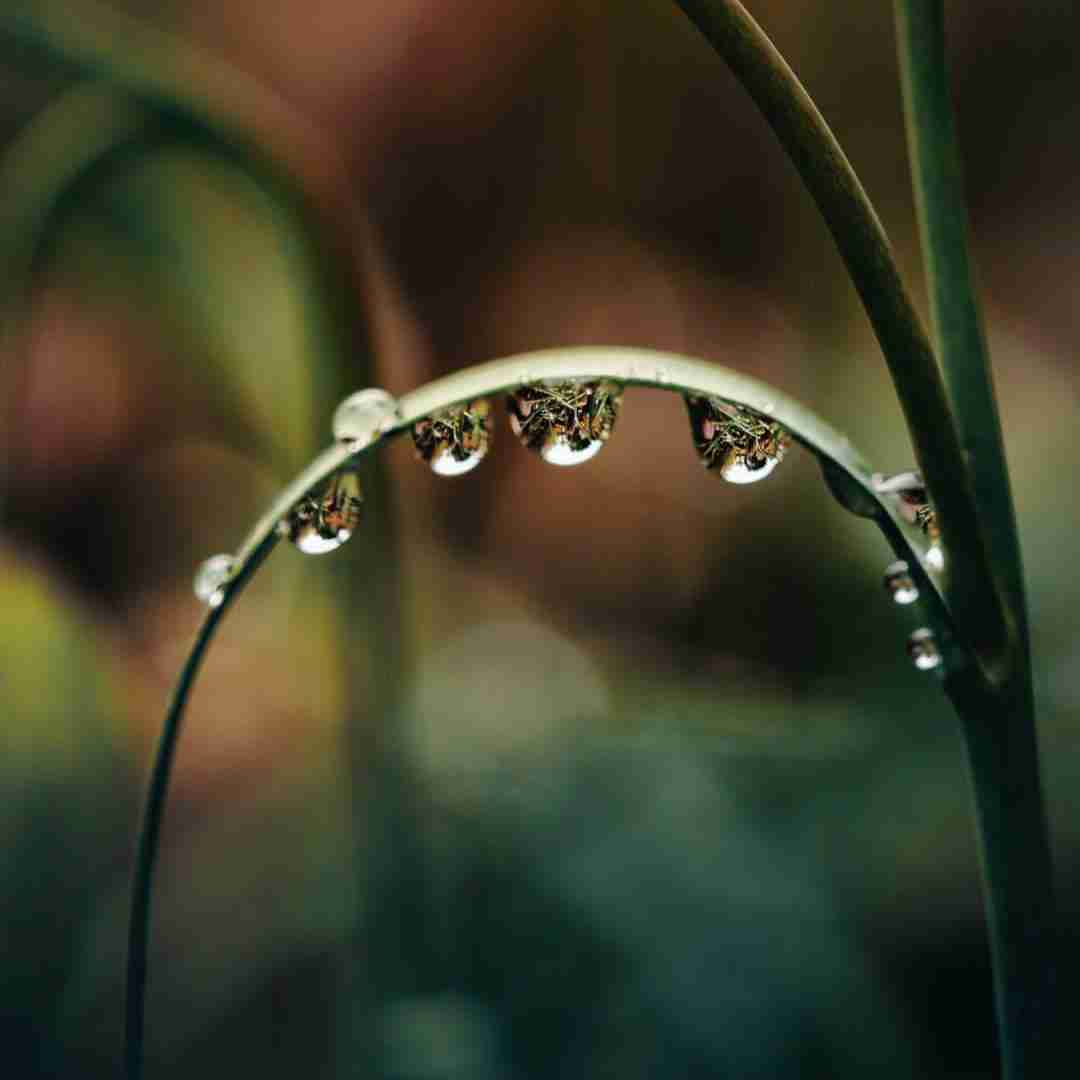  میخوام مست کنم بات مودمه میدونم تنه تو روحمه
