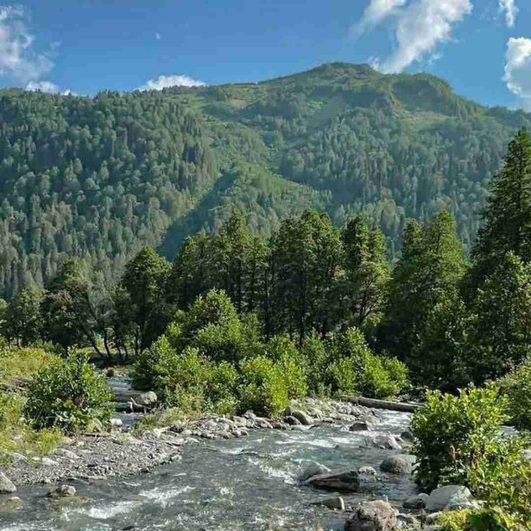  منه دیوونه نمیدم بعد تو کسیو ترجیح یه روز پاشدم