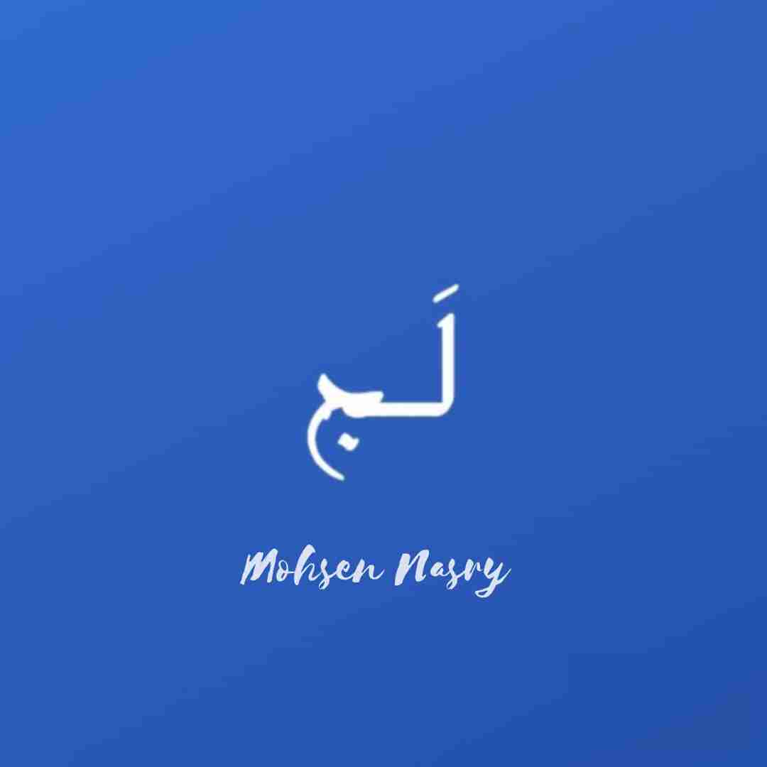 محسن نصری لج