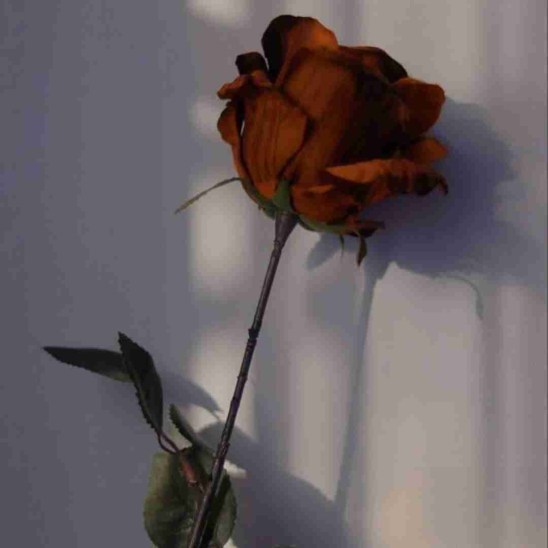 از این زندگی خسته ام خسته ام از این روزگار همه باهم غریبن