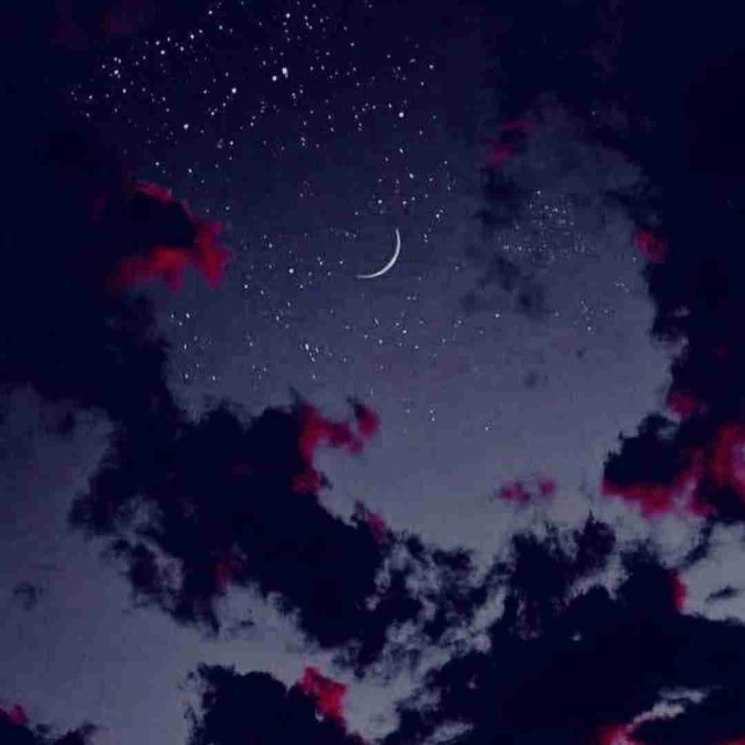  بلدی قد دهنتو یا نه دستشونو بگیریم اگه ادبشو دارن