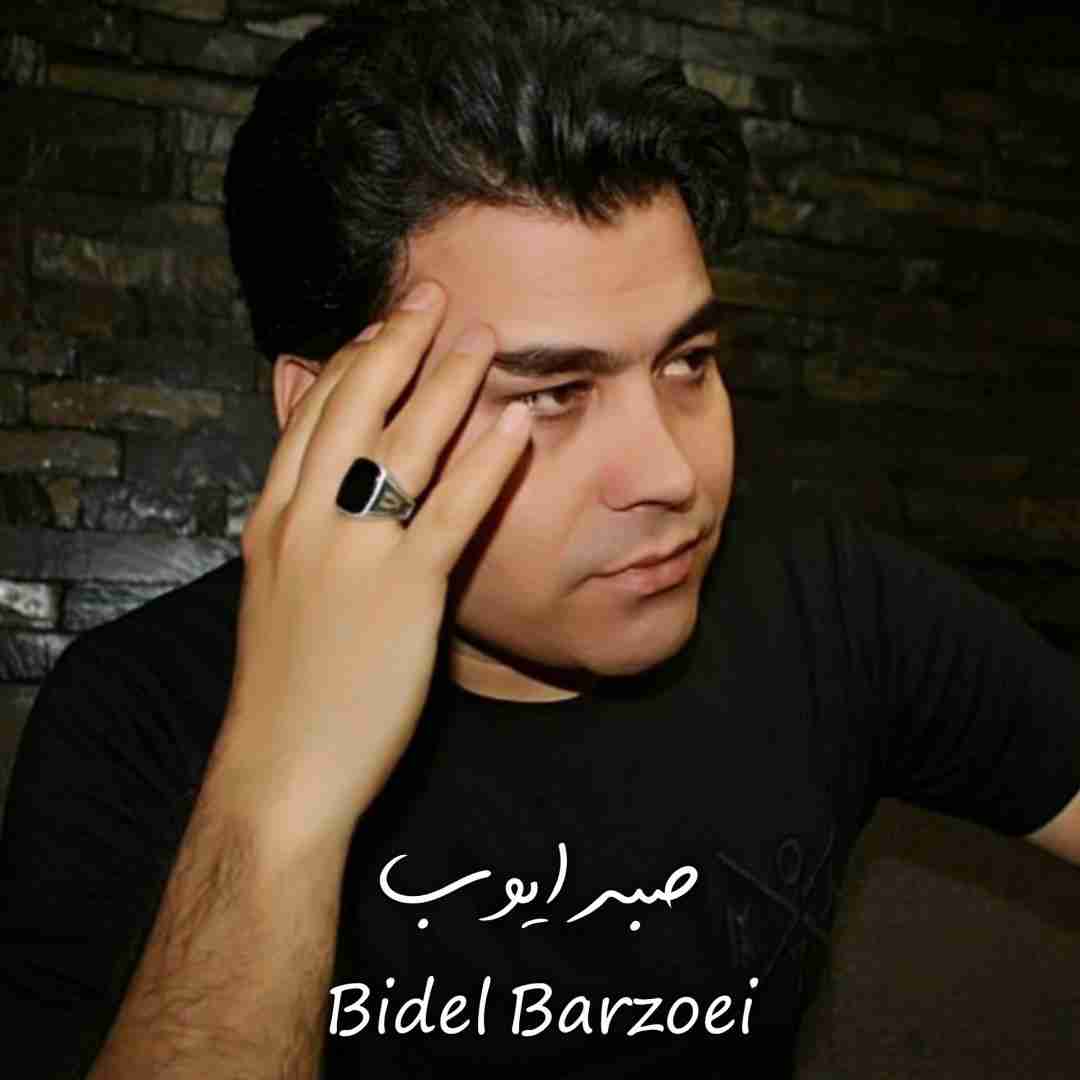بیدل برزویی صبر ایوب