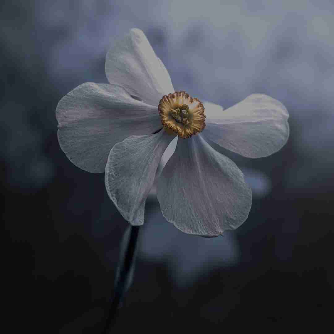  نه اون الان میدونه کجام نه من نه دیگه نه