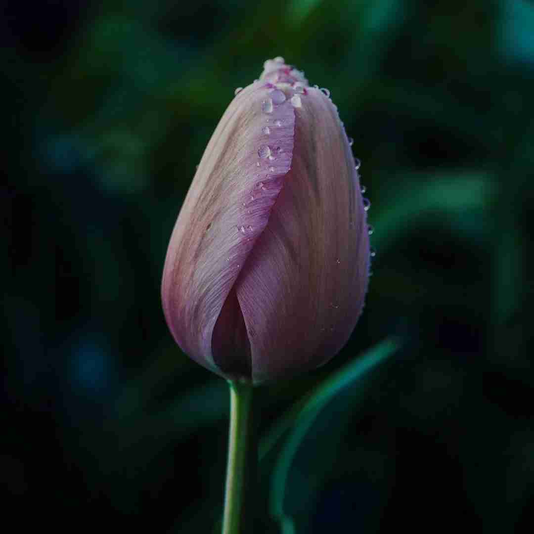  چسبوندم بهم تیکه های قلبمو هنوز نبض داره با صدای دختر
