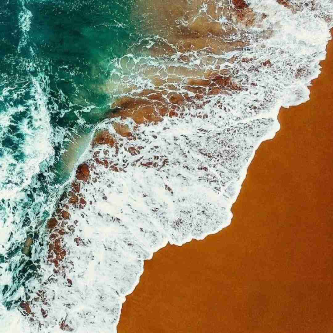 میش میش میش د موش موش موش (ترند اینستایی)
