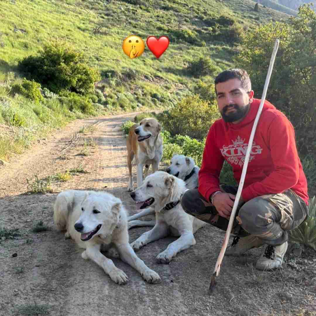 مهدی کارگر زمستون وارش