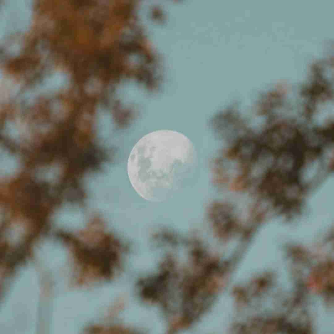  تکس میده میگه ایزیه ولی میبینمش پیش فیزیه