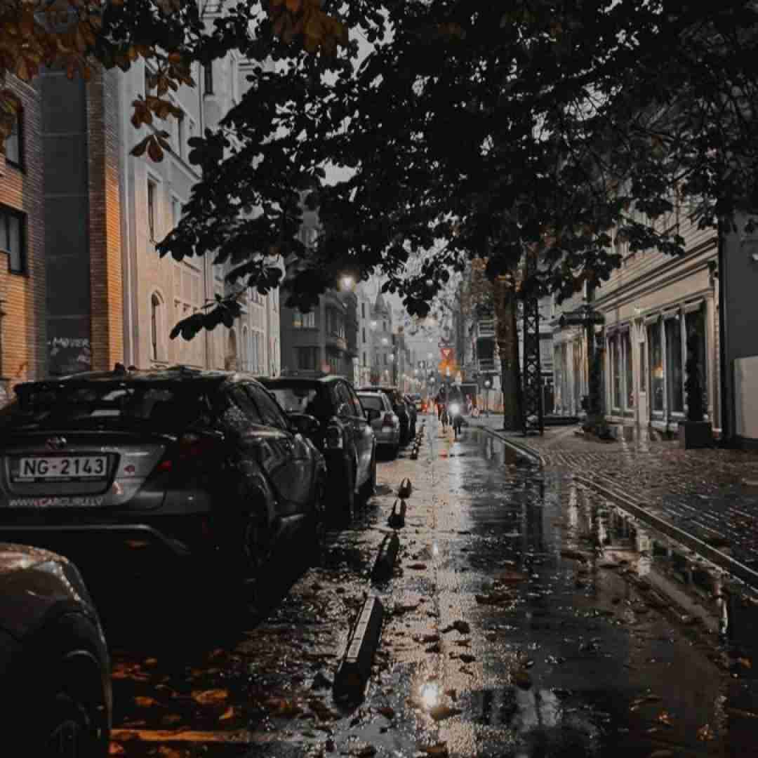 حیف من بودم توی این قفس فیک