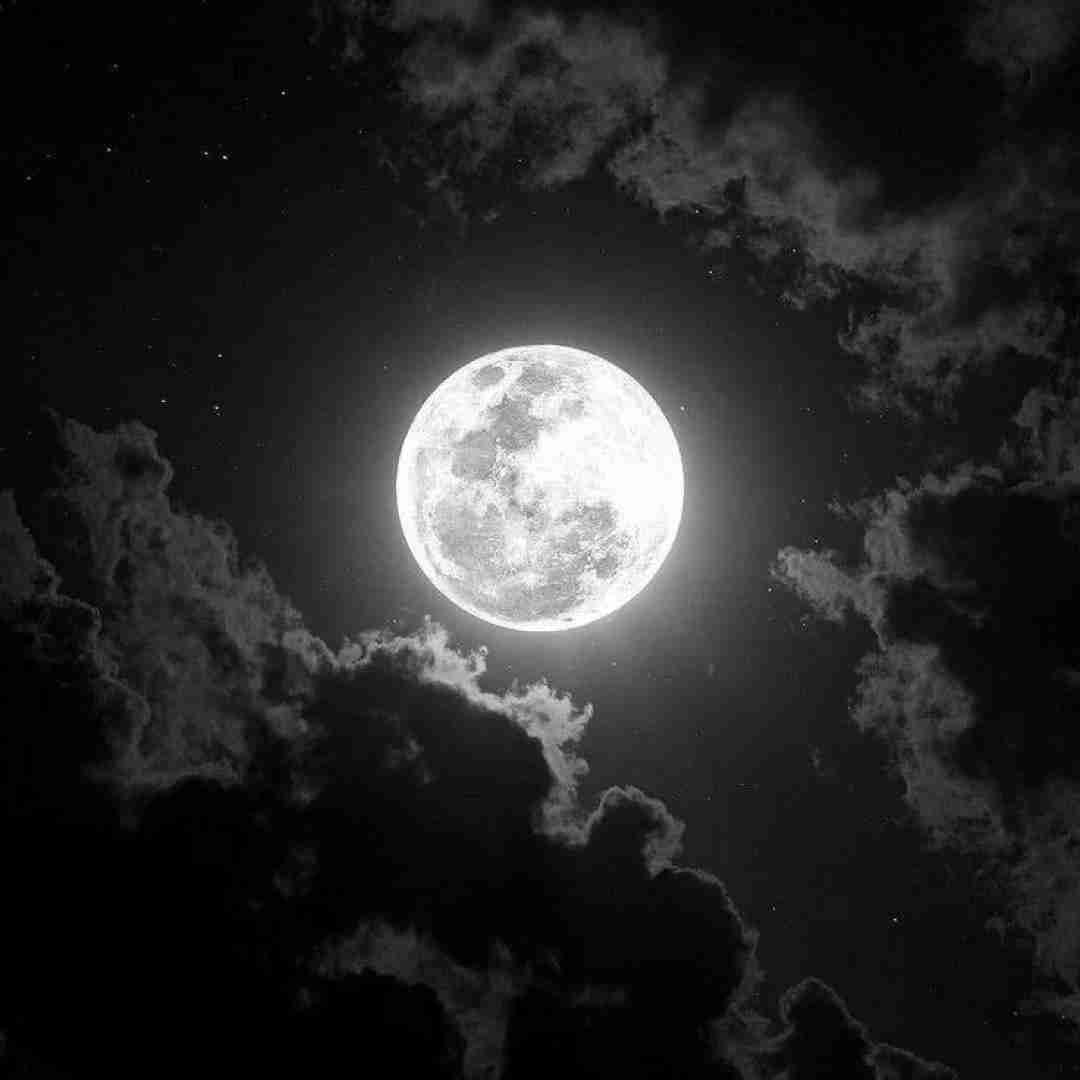  مگه چی داره آخه من ندارم قربونت برم همه دارو ندارم