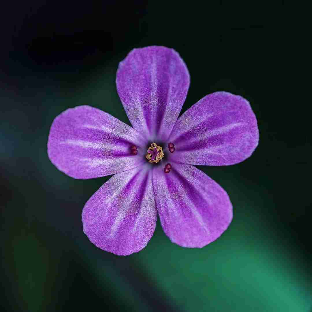 باز ظهر شده نمیخوام که باز شه چشام