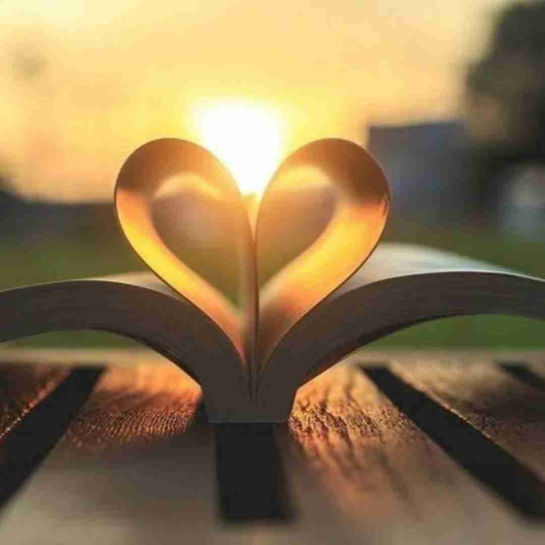 فاطمه مهلبان آگیر گیتیه دیلیمن