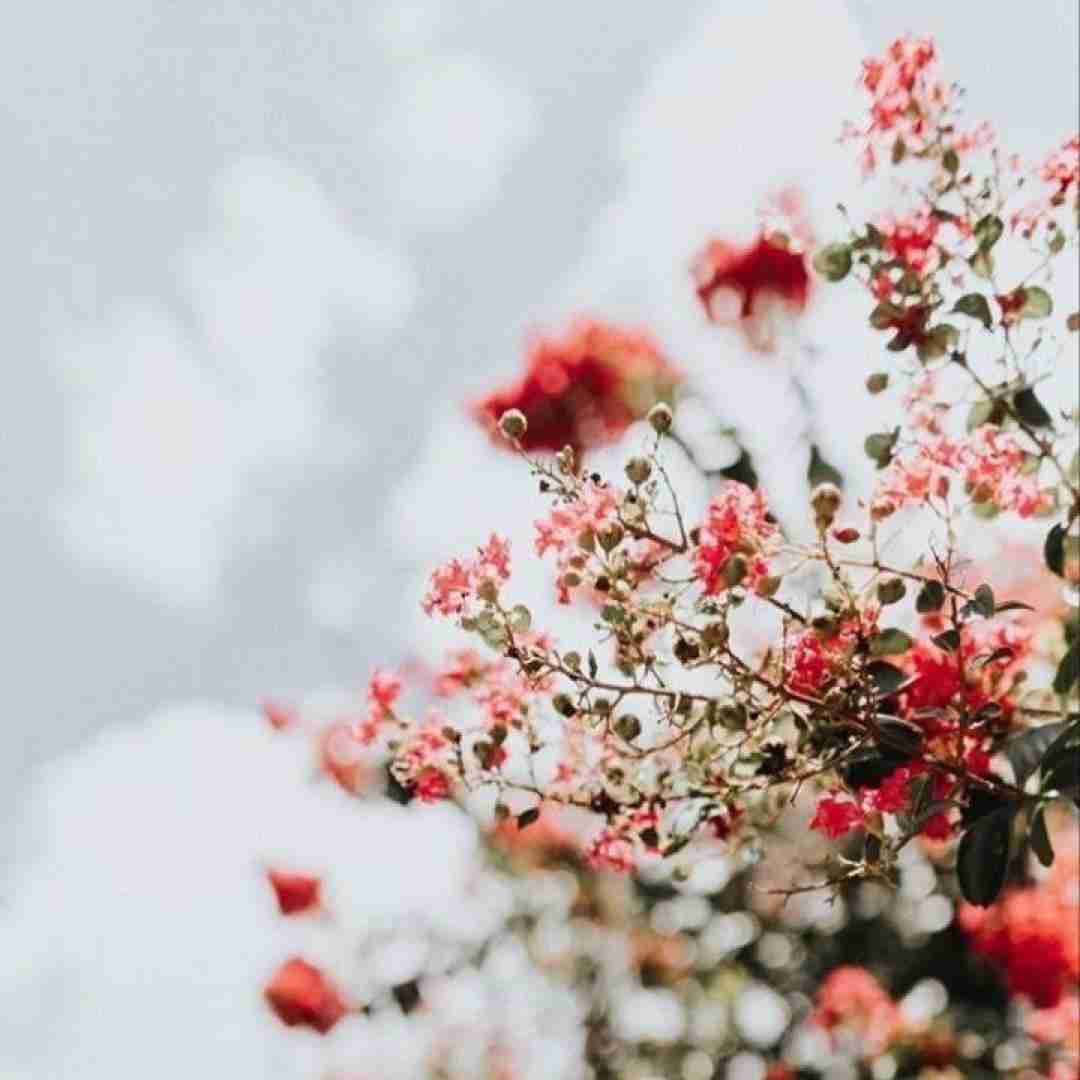 عجیب غریب داره میشه تازه حسم به دوستام نگم
