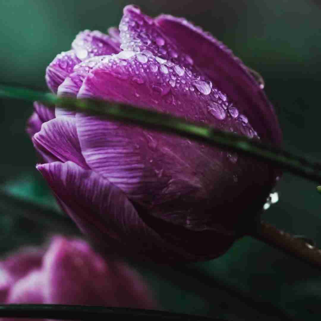 بری بهتره قضیه رو کش نده مثت نیست کمه