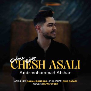 دانلود آهنگ کردی چش عسلی از امیرمحمد افشار