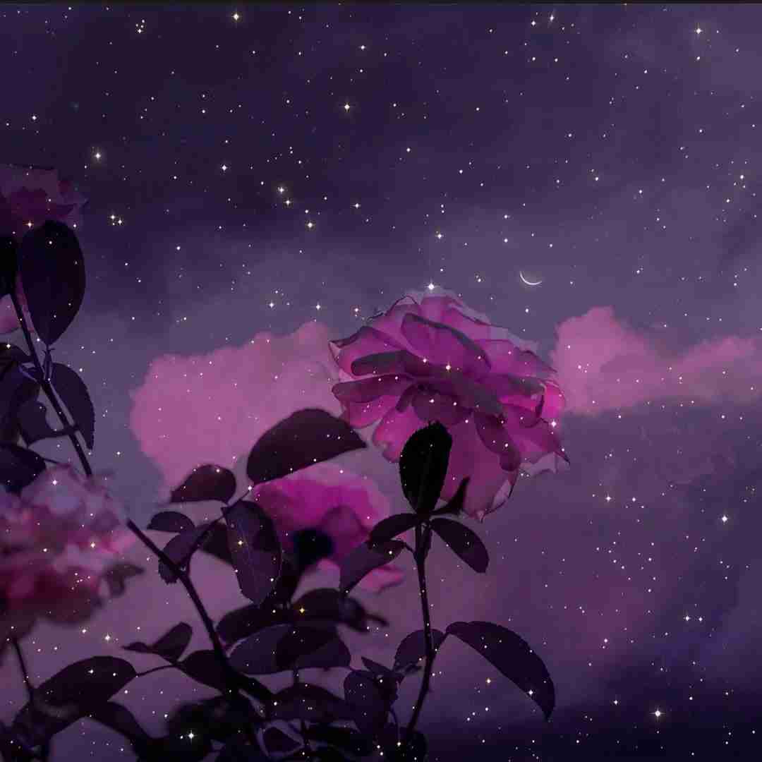 نه تو دووم میاری نه من بی تو بذار کنار غرور لعنتی تو