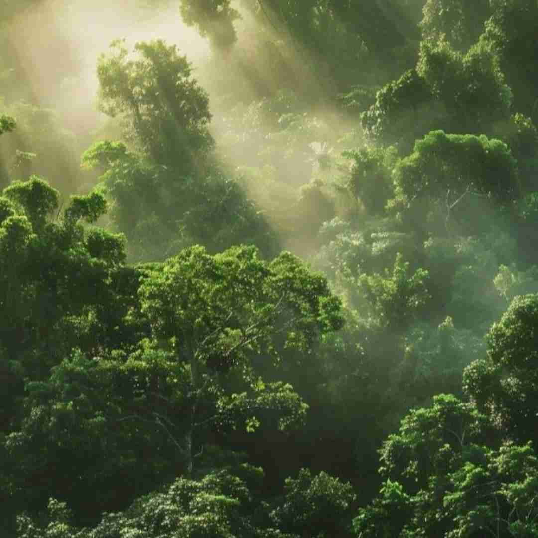اینجارو میخوامش با تو ندزد از من چشماتو