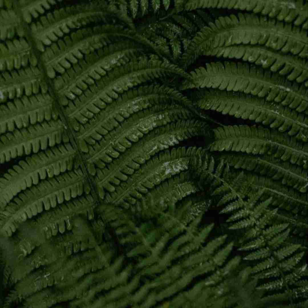 دیوونه کردی همه رو بیبی با رقصت آسون وابستت میشم