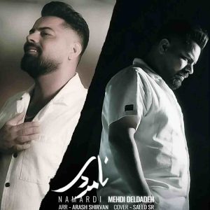 دانلود آهنگ جدید نامردی از مهدی دلداده