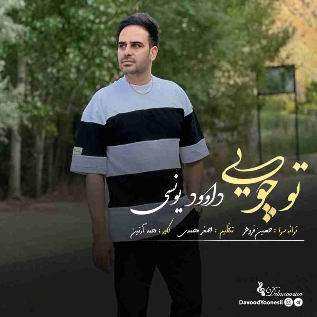 دانلود آهنگ کردی تو چویی از داوود یونسی