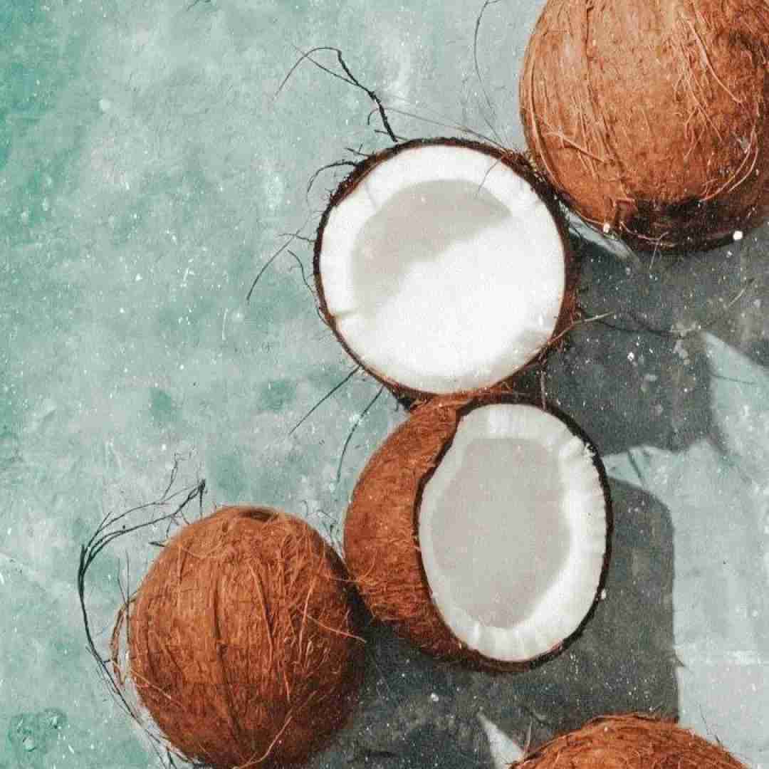 فکر نمیکردم اکسم شی بعد تو بشه نکستم کی