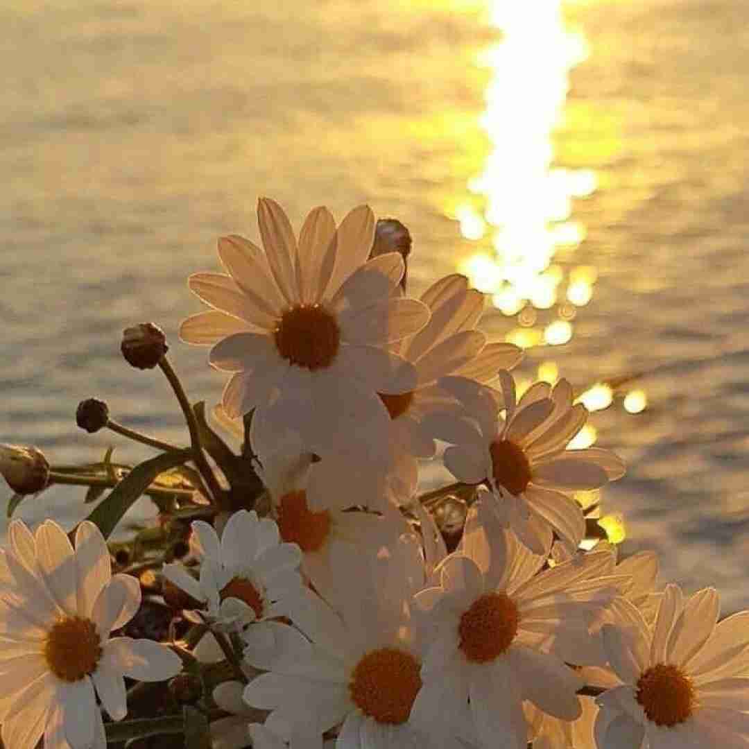  منه ساده رو باش شاد بوده من اونجا بودم شدم خام حرفاش