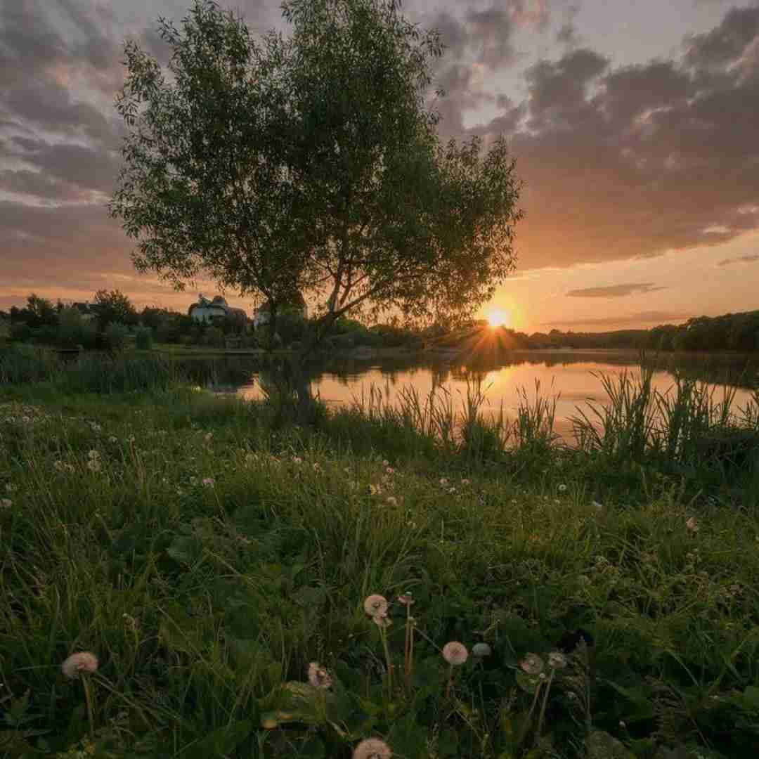 فاطمه رحمانی دلبر