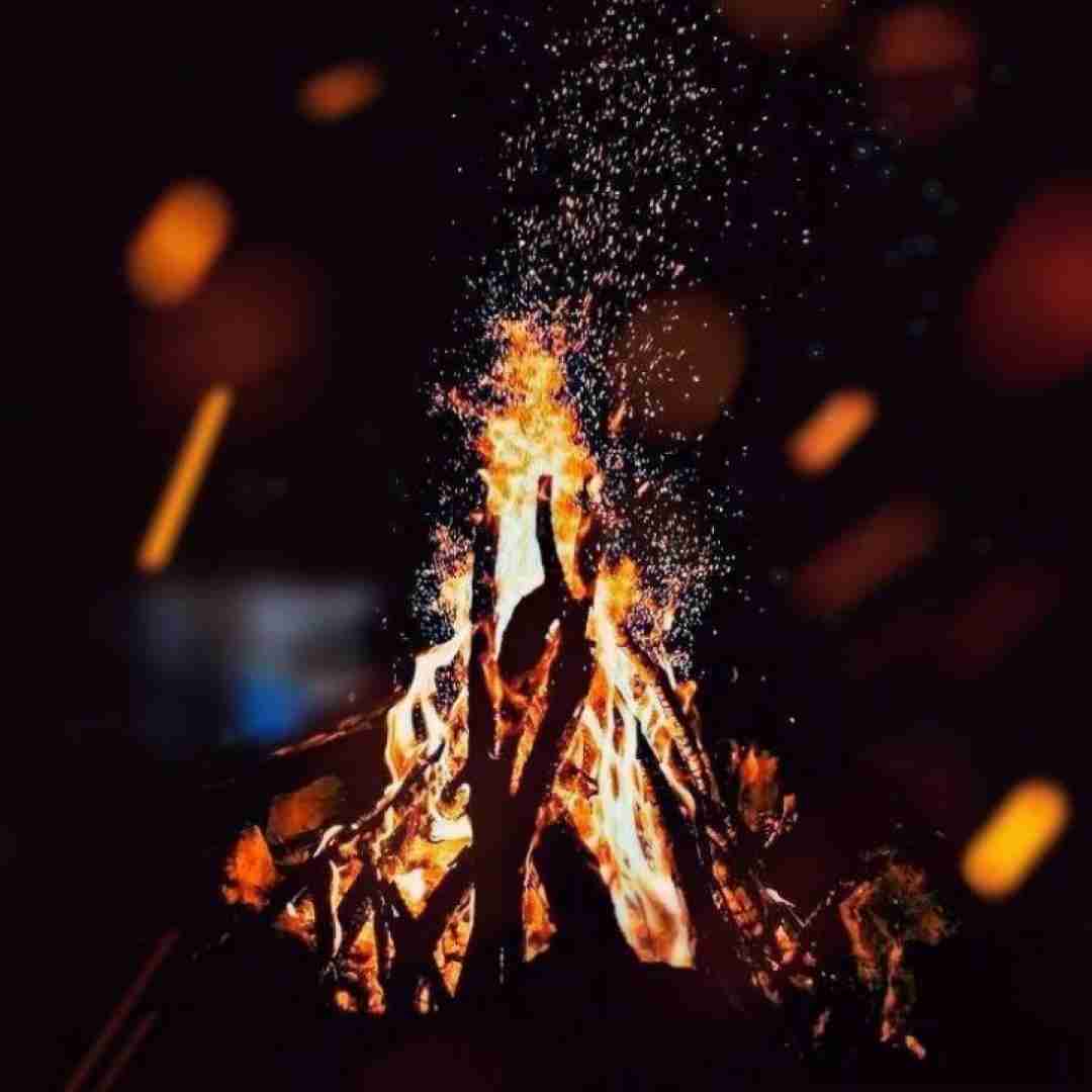 بعد پر پر شدنت ای گل زیبا چه کنم با صدای پسر