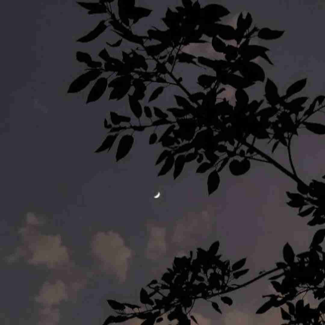 فاطمه عطایی آخ امیری بخونم گرم هاکنم گلی ره