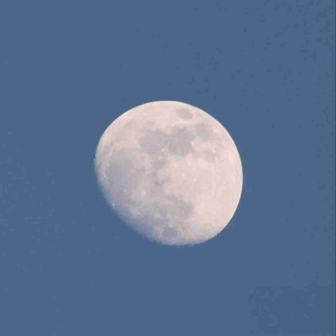 بنفشه ی نازنینم گلم سی مو عزیزی با صدای پسر