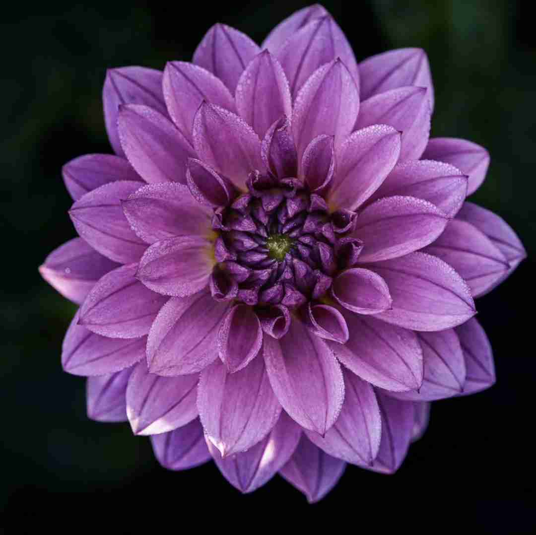 فاطمه عطایی سر کوه