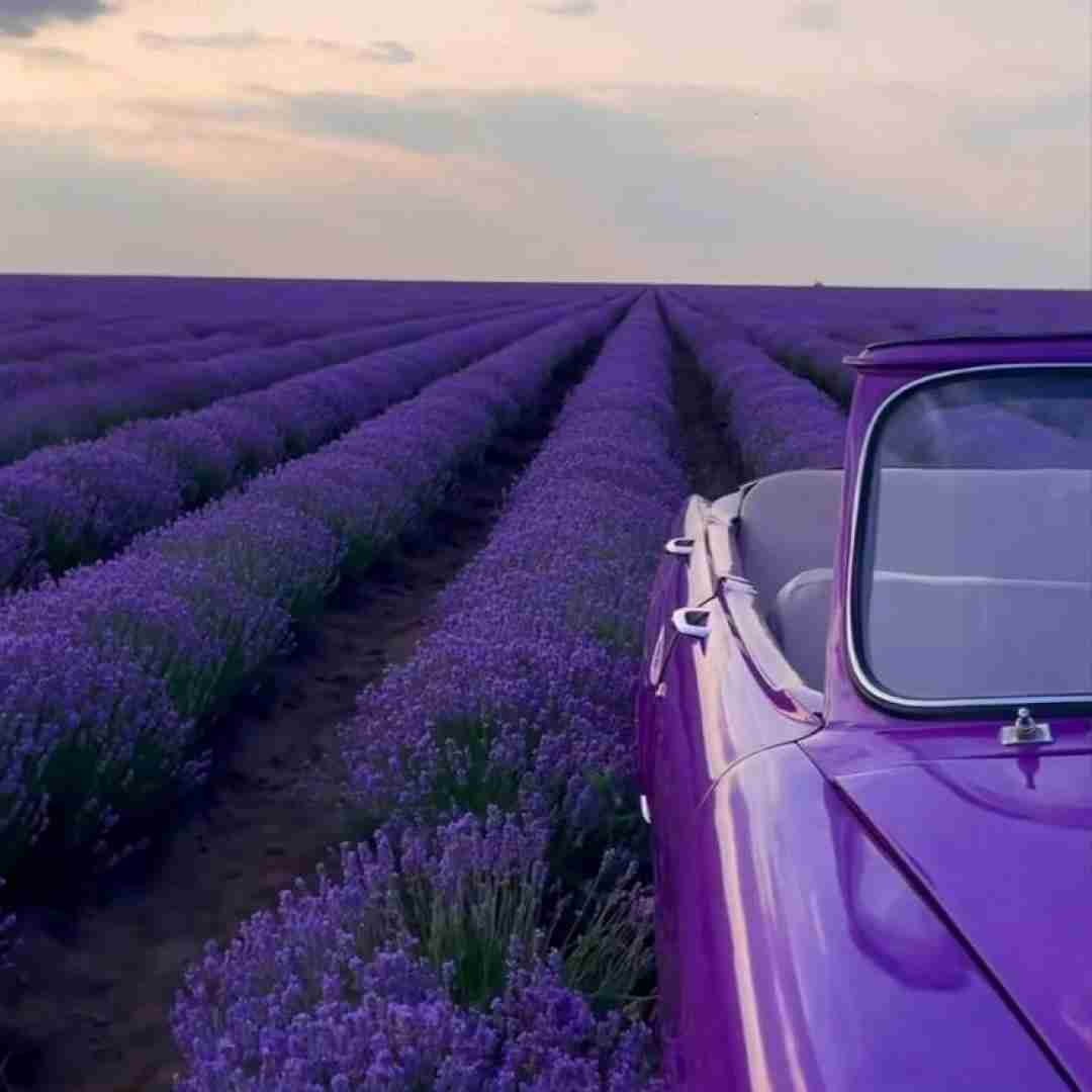  همو یادمون رفته خیلی وقته آسمون بدون بیبیم ابره