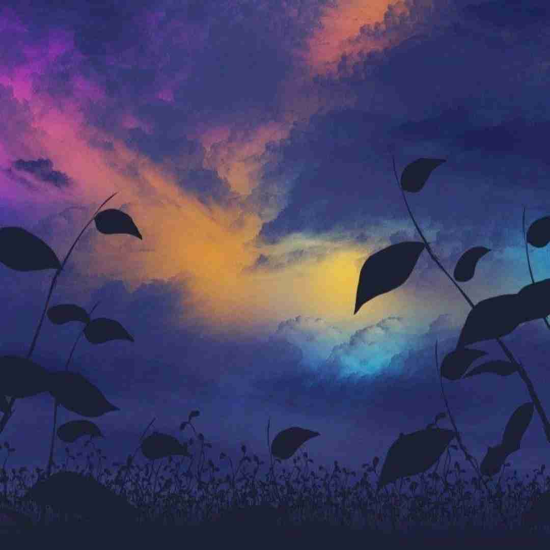 عاشق و اسیر و رامت دیوونه هر کلامت