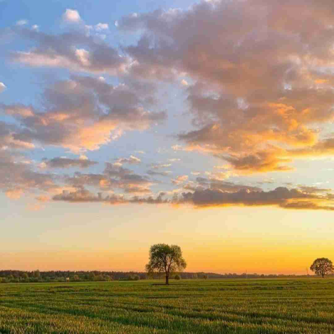 بدو عمان مرسیدس 4 نسوان