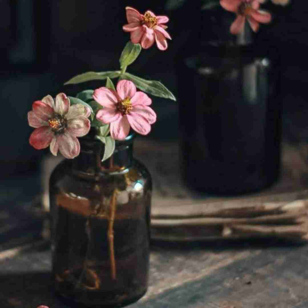 دیدی نمی ارزید عاشق هم شیم حتی نمیدونم فکر میکنی