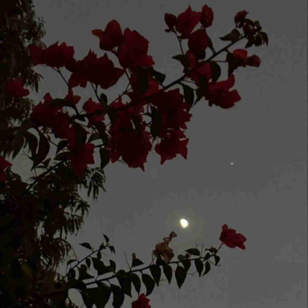  من که یبارم نشدش حسم بهت کم الان شدی اکسم بهتر