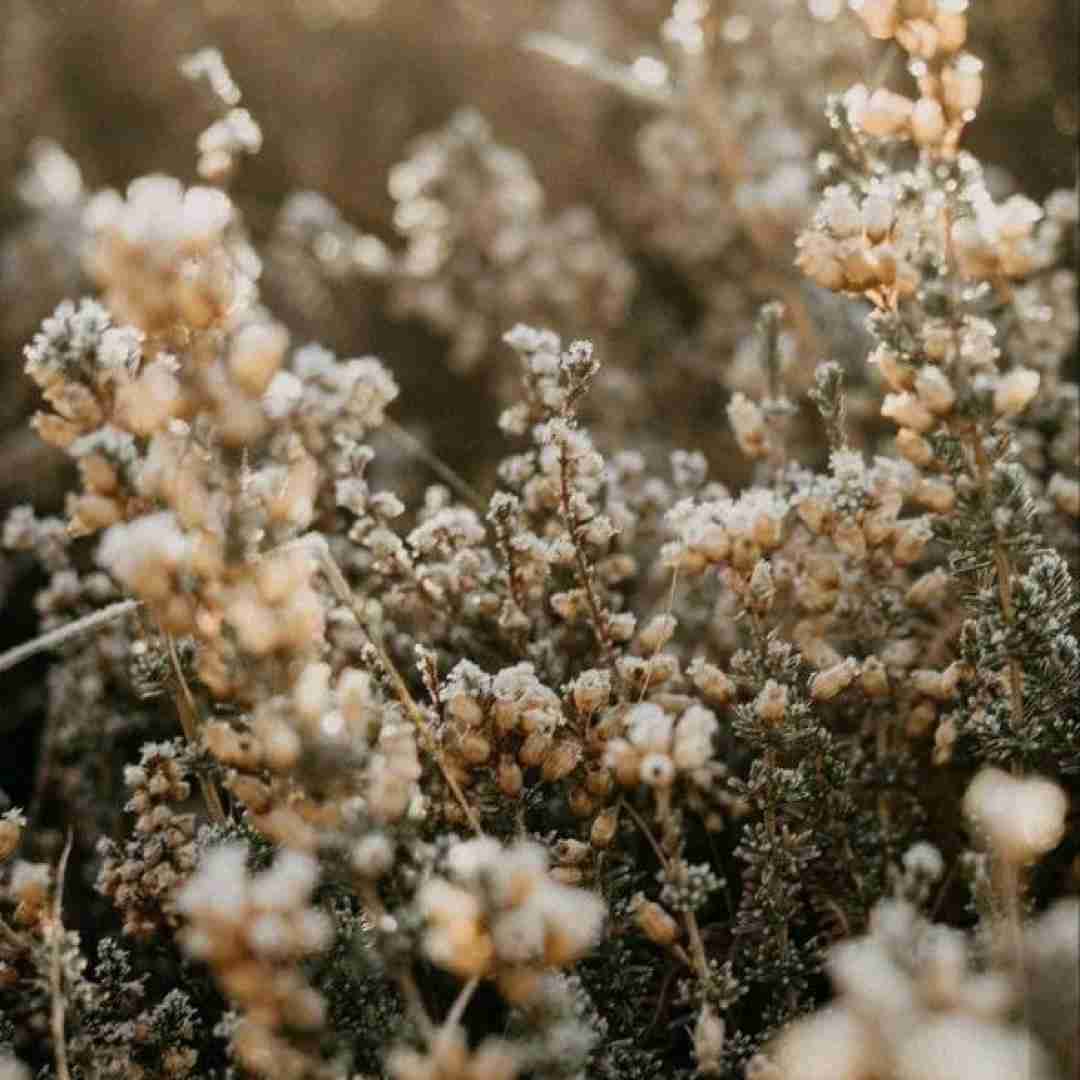 ببار چشم من ببین چه سیرم ازت با صدای پسر اینستایی با پیانو