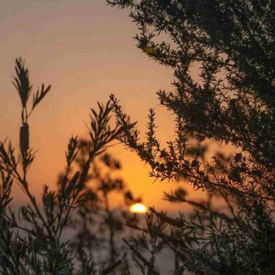 کاش وقتی داشت میرفت بغلش میکردم آخر یه شب این گریه ها
