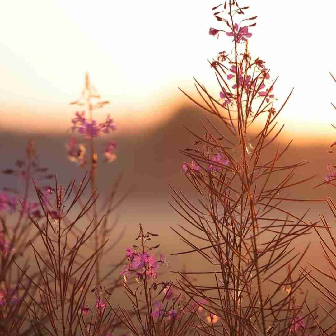 ولی به تو خوش میگذره میدونم (ورژن اینستایی)