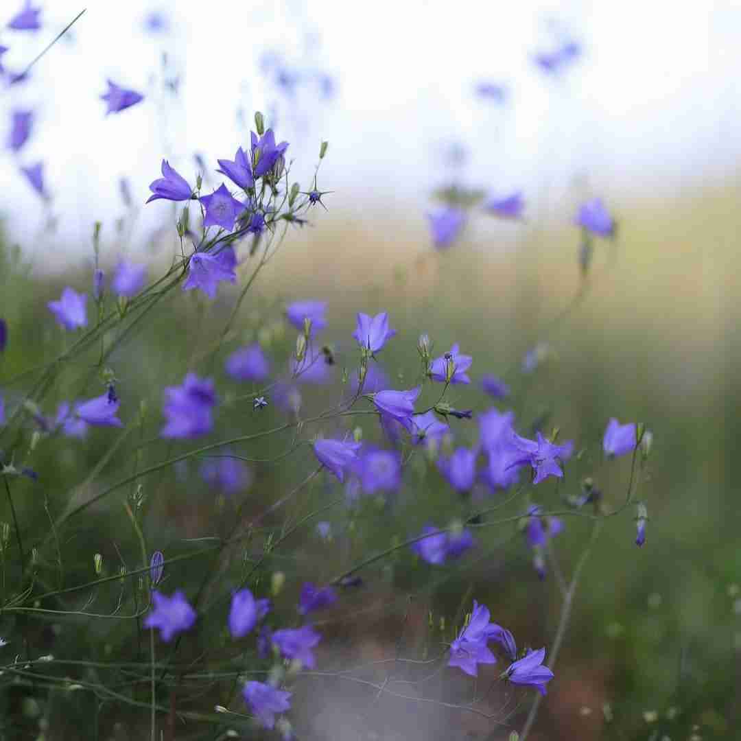 ما که دوتایی رفتیم تهش هنوزم مثل من نیست نه