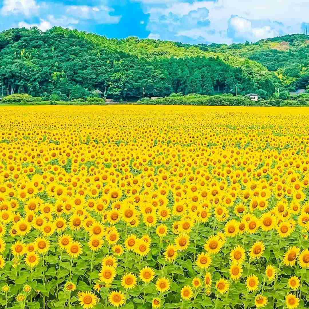  چند سالته که آدمو آروم میکنی با صدای پسر اینستایی