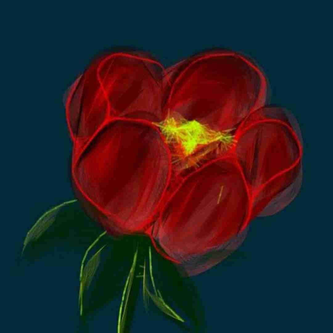 اون که رسونده به همه خودش نمیرسه منم
