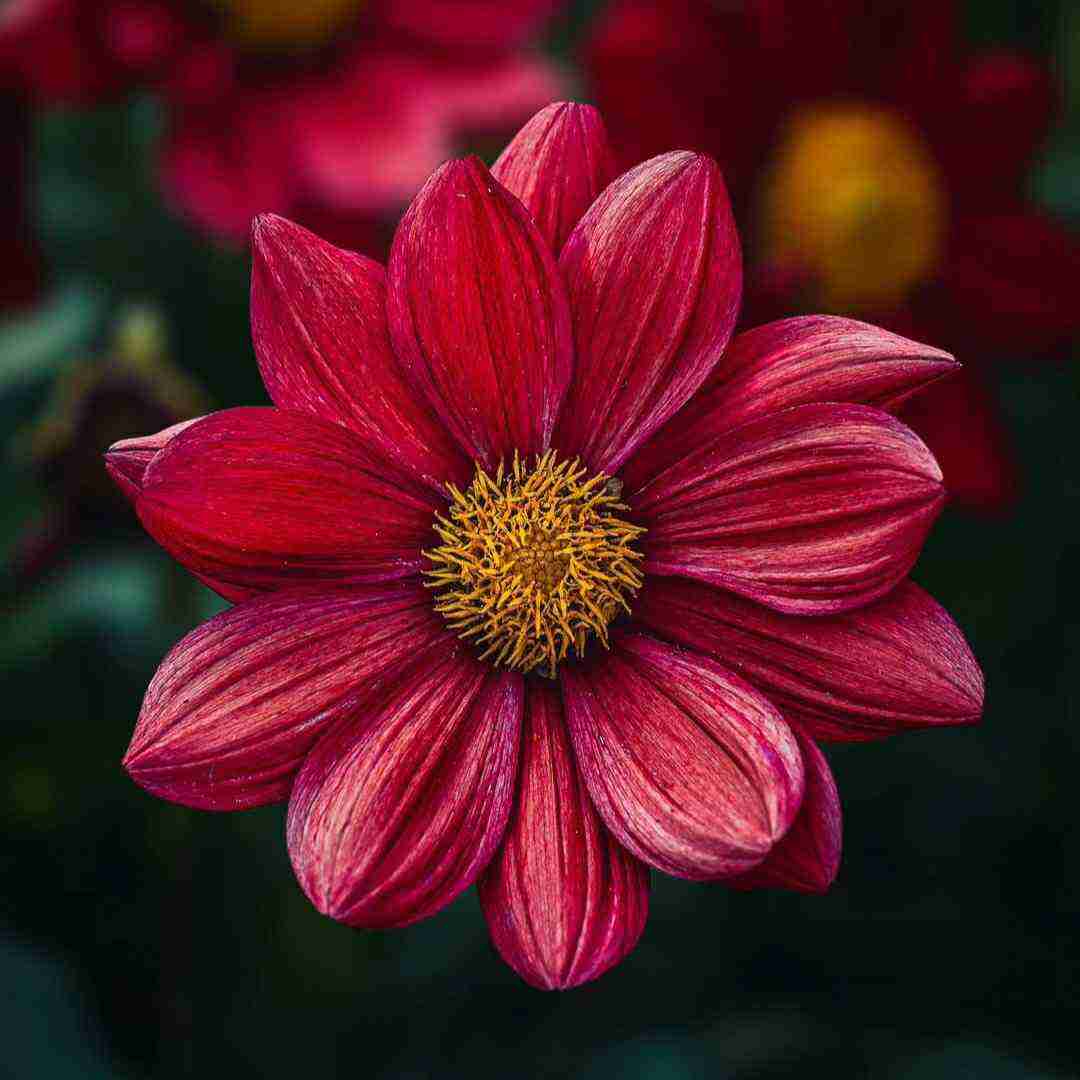  باورم نمیشه شده بیست و یک سالم با صدای دختر