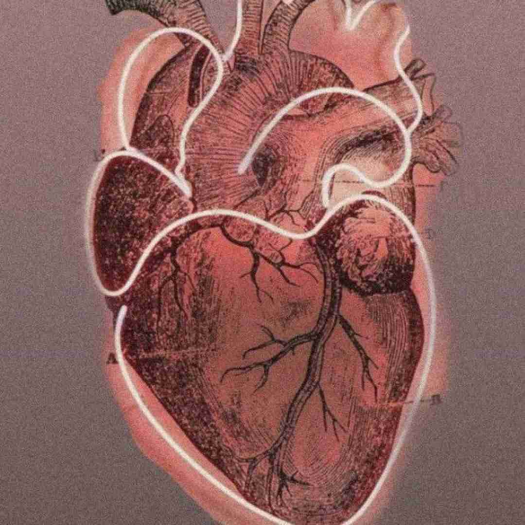  دیدی چه راحت تورو فراموشم شد اگه میتونی تو