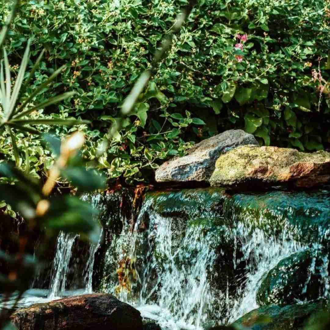  بیمه توسه خارو دل بی قرار ای تجا خالیه (میکس اینستایی)